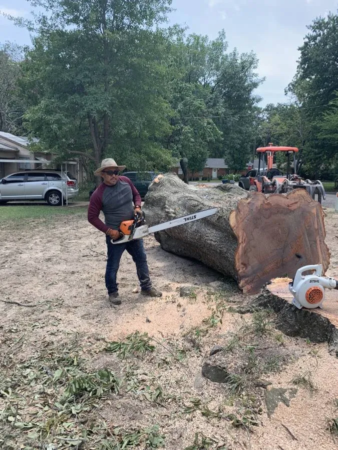 Custom yard maintenance in Mount Pleasant, TX - Sure Tree Landscaping