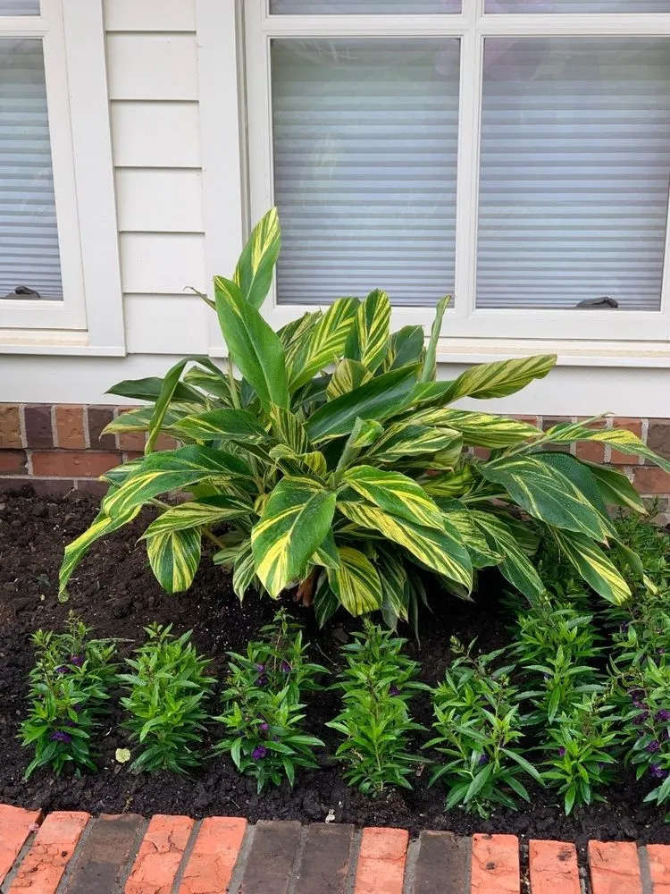 Reliable landscape design for residential properties across Wildwood, MO - Surecut Solutions