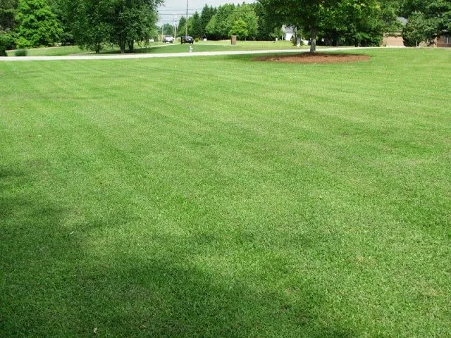 Local garden landscaping for year-round maintenance across Wildwood, MO - Surecut Solutions