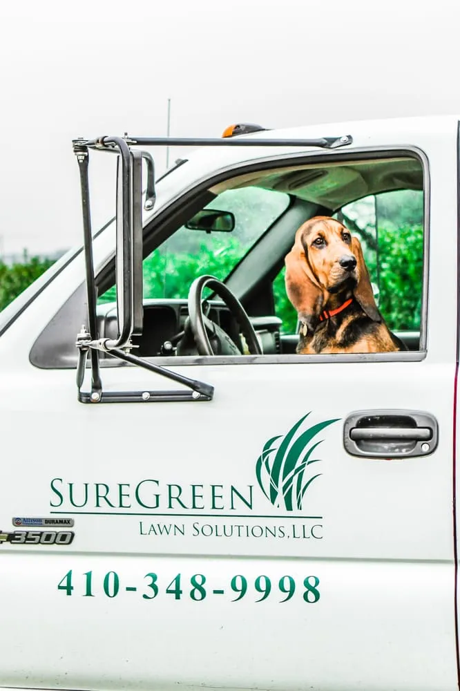 Trusted lawn mowing service in Kennedyville, MD - SureGreen Lawn Solutions