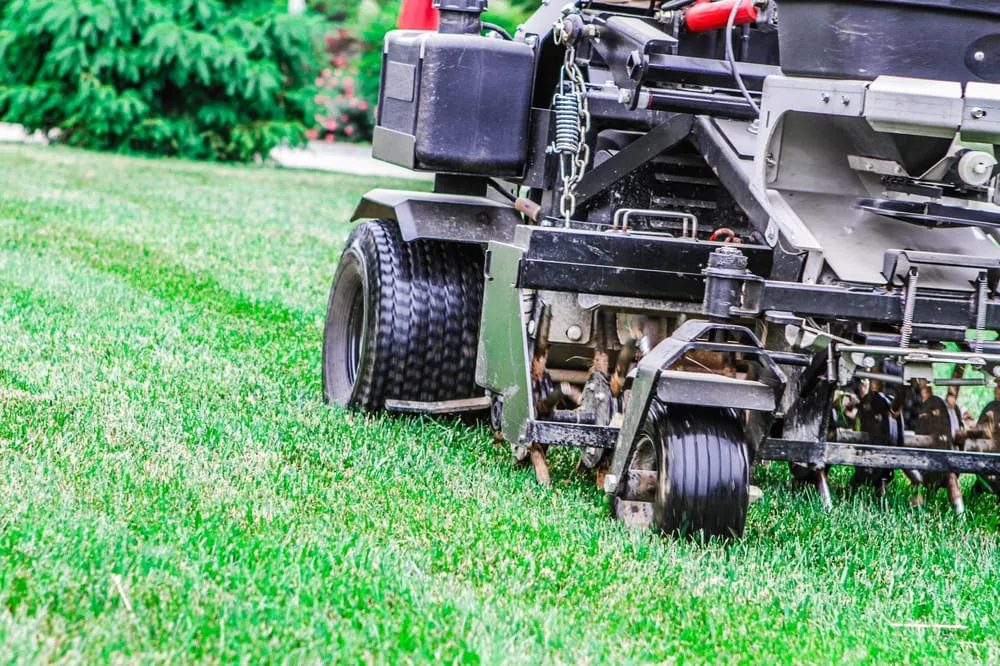 Custom outdoor landscaping in Kennedyville, MD - SureGreen Lawn Solutions
