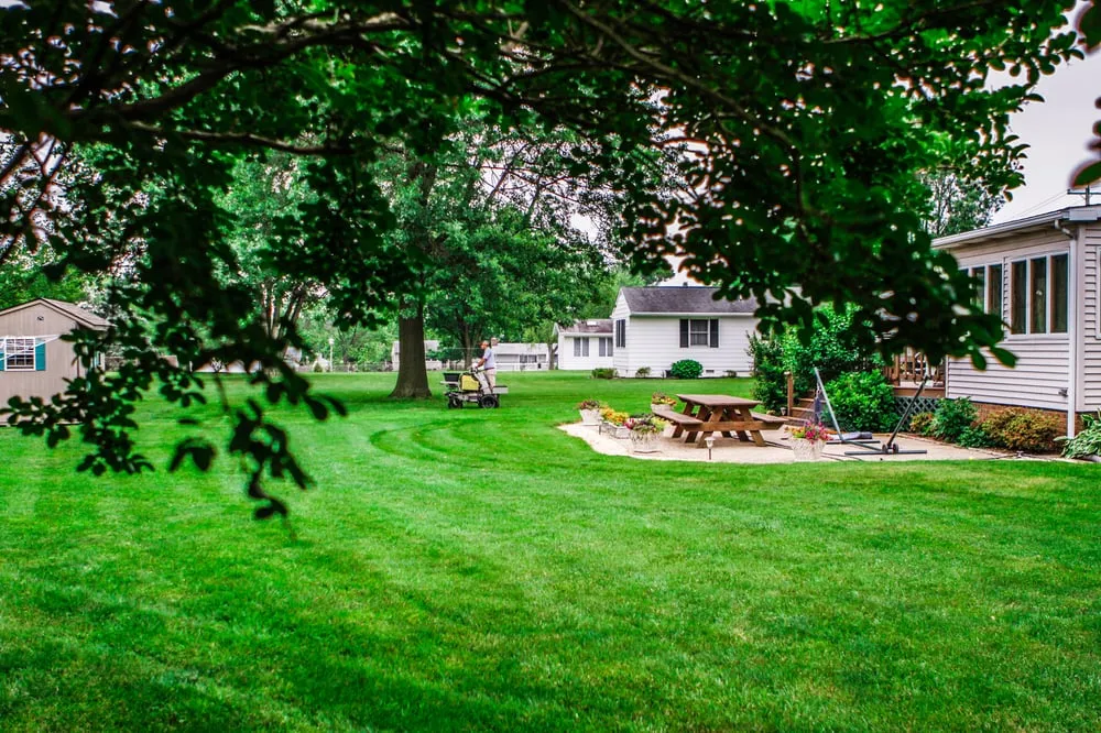 Local yard cleanup service for year-round maintenance in Kennedyville, MD by SureGreen Lawn Solutions