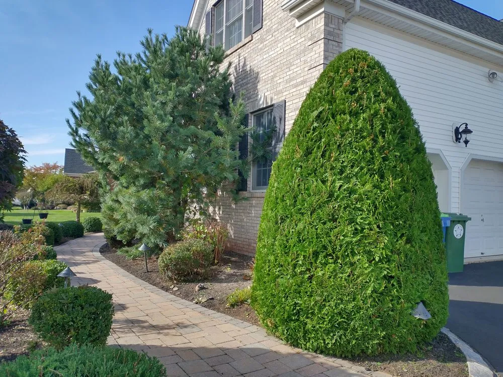Local outdoor landscaping in Hillsborough Township, NJ - Surely Green Landscaping