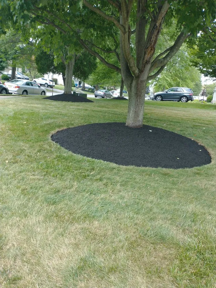 Professional landscape installation in Hillsborough Township, NJ by Surely Green Landscaping