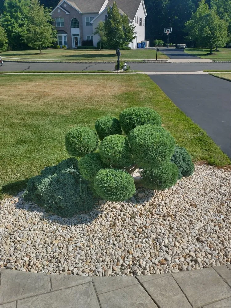 Custom yard maintenance in Hillsborough Township, NJ - Surely Green Landscaping