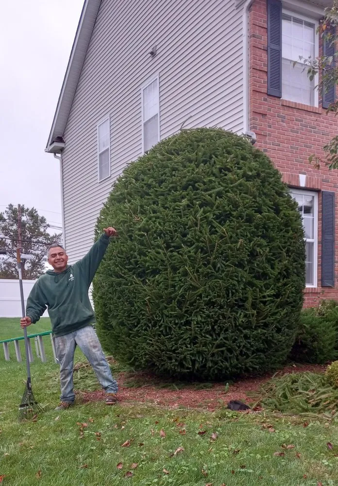 Reliable landscape design for outdoor upgrades in Hillsborough Township, NJ by Surely Green Landscaping