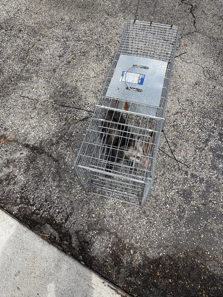 Affordable landscape design for residential properties in Boca Raton, FL by SureShot Pest Solutions