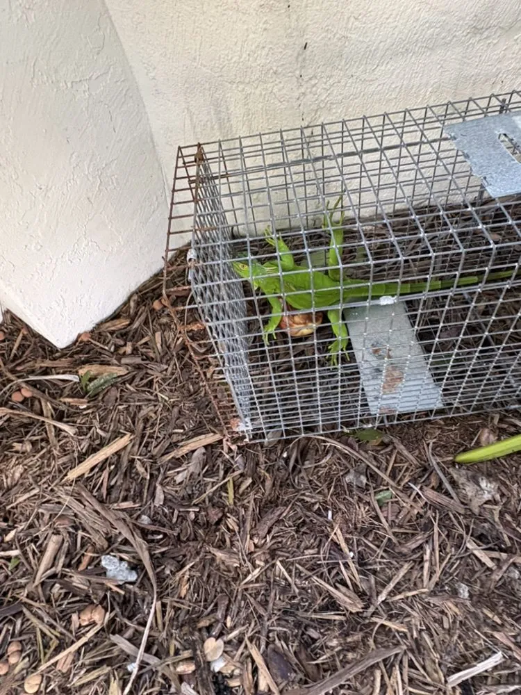 Professional garden landscaping near you across Boca Raton, FL - SureShot Pest Solutions