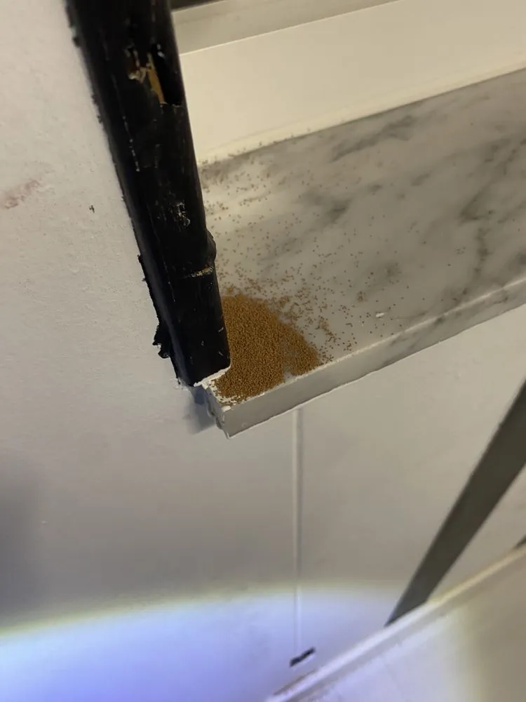 Affordable yard maintenance in Boca Raton, FL - SureShot Pest Solutions