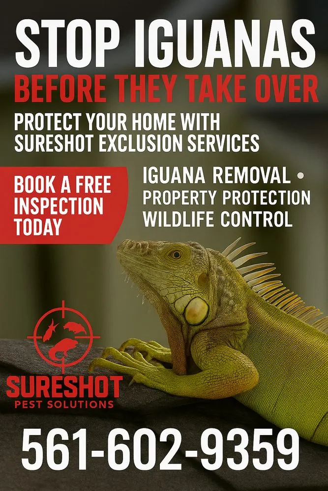 Custom landscaping services in Boca Raton, FL by SureShot Pest Solutions