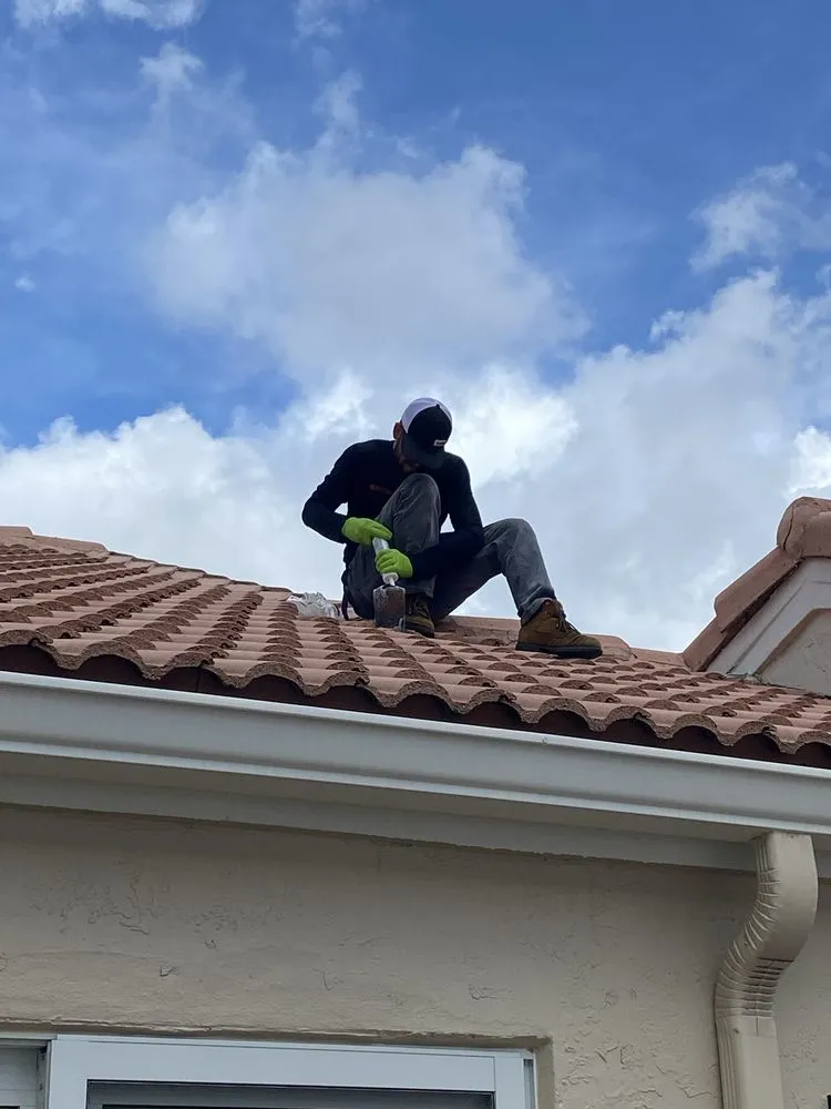 Top-rated yard maintenance in Boca Raton, FL - SureShot Pest Solutions