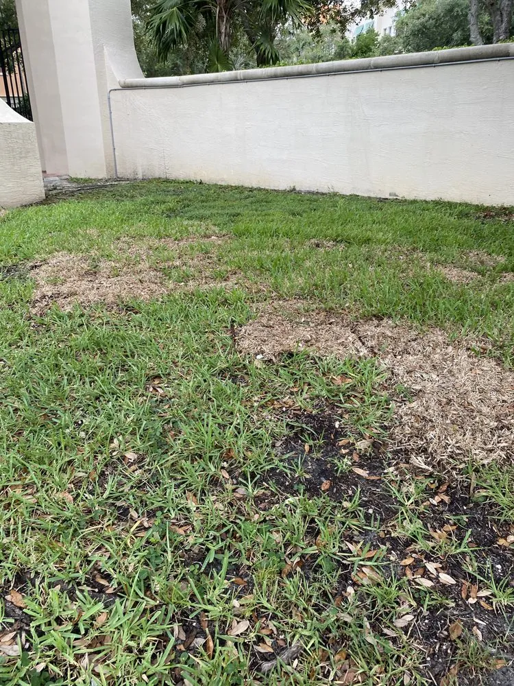 Reliable residential landscaping for year-round maintenance in Boca Raton, FL by SureShot Pest Solutions
