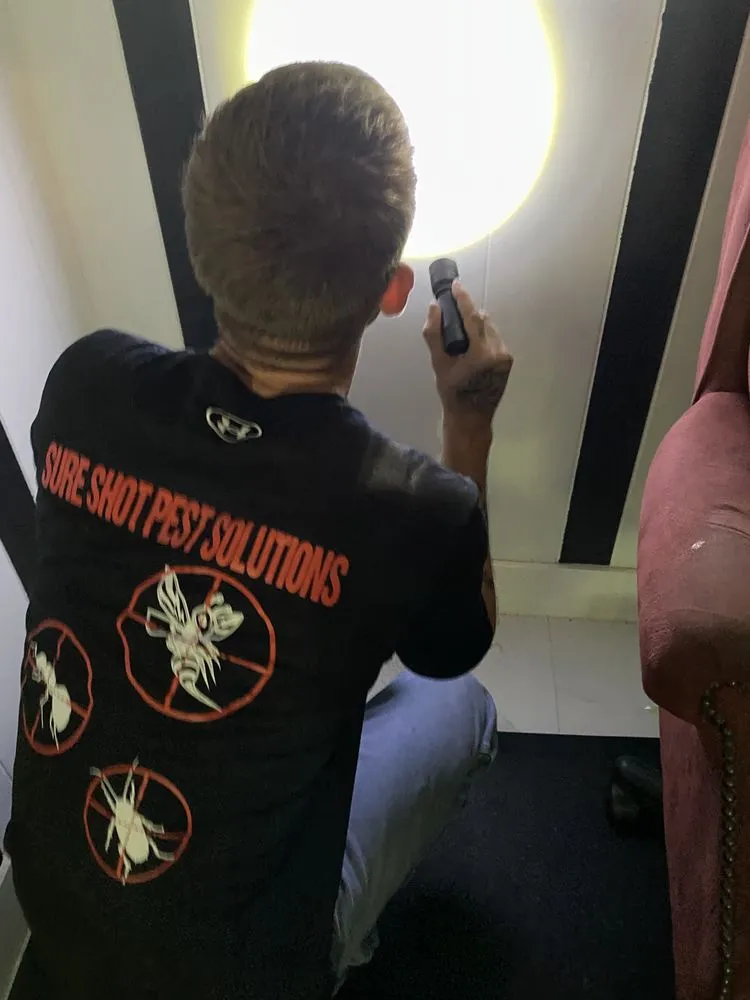 Local garden landscaping for year-round maintenance across Boca Raton, FL - SureShot Pest Solutions