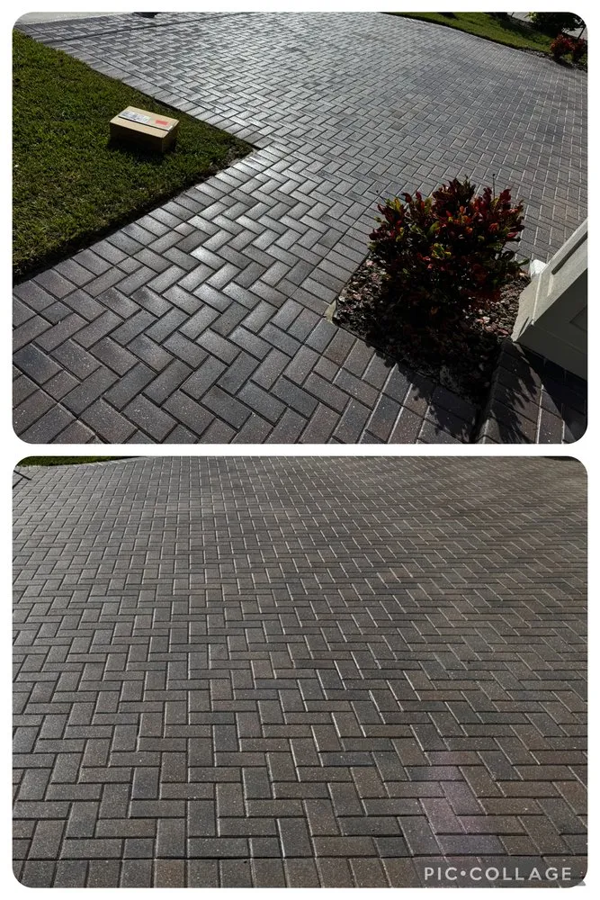 Top-rated yard maintenance in Land O' Lakes, FL by Surf & Turf Pressure Washing and Lawn Care