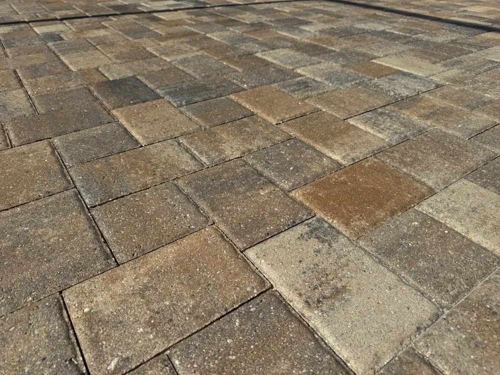 Affordable landscape design in Land O' Lakes, FL - Surf & Turf Pressure Washing and Lawn Care