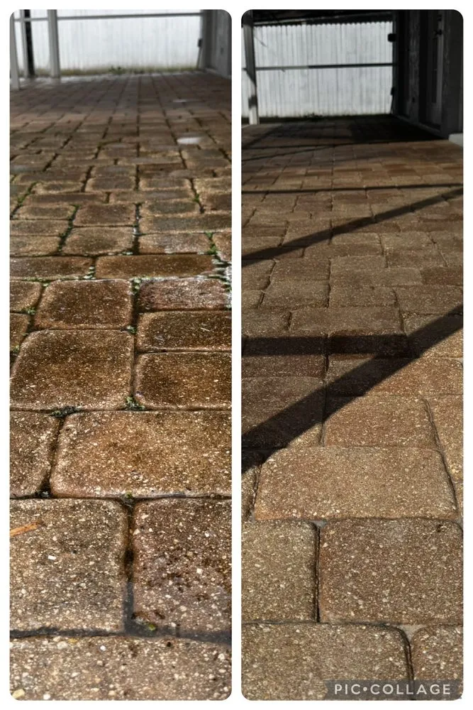 Top-rated landscape design in Land O' Lakes, FL - Surf & Turf Pressure Washing and Lawn Care