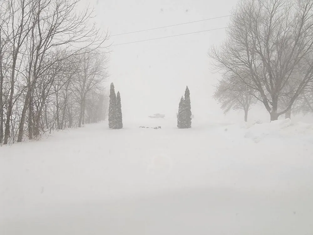 Custom landscaping services in Waconia, MN by Surf & Turf