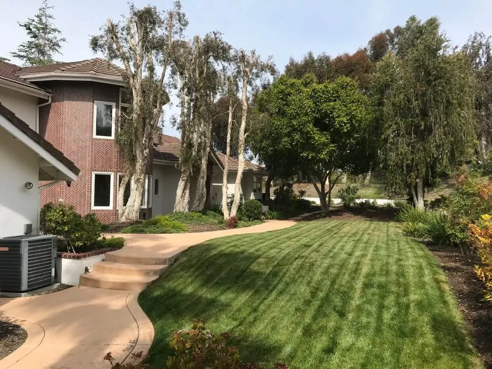 Affordable yard maintenance near you across Alta Loma, CA - Surf and Turf Landscapes