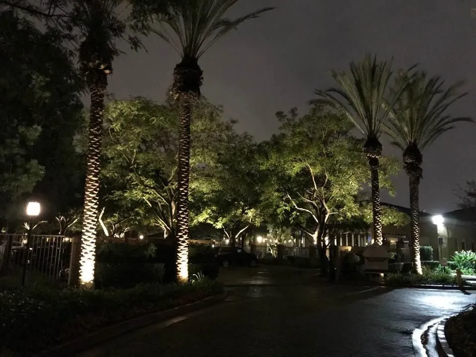Affordable outdoor landscaping for beautiful yards across Alta Loma, CA - Surf and Turf Landscapes