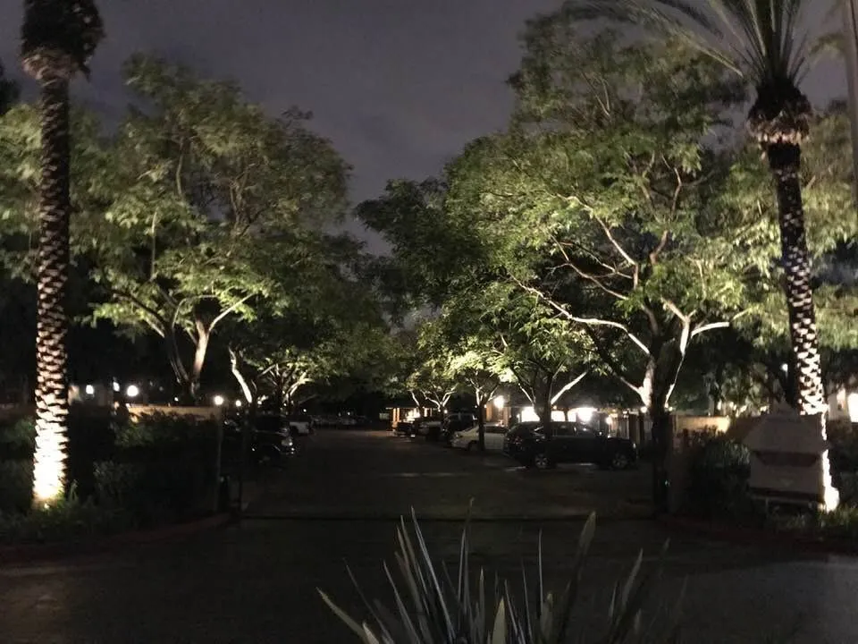Custom yard maintenance for homes in Alta Loma, CA by Surf and Turf Landscapes