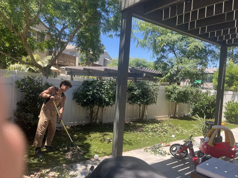 Affordable landscape design experts serving Escondido, CA - Surf and Turf Landscaping