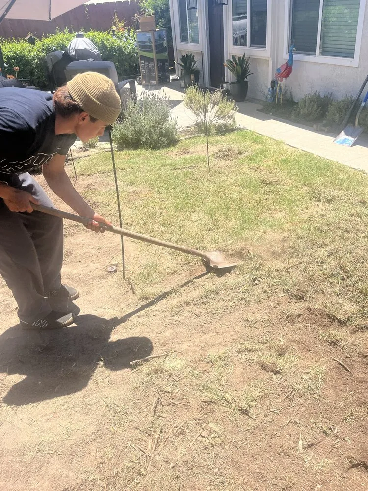 Custom lawn care service in Escondido, CA - Surf and Turf Landscaping