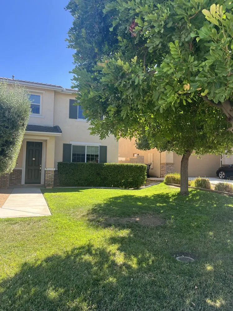 Reliable yard cleanup service in Escondido, CA - Surf and Turf Landscaping