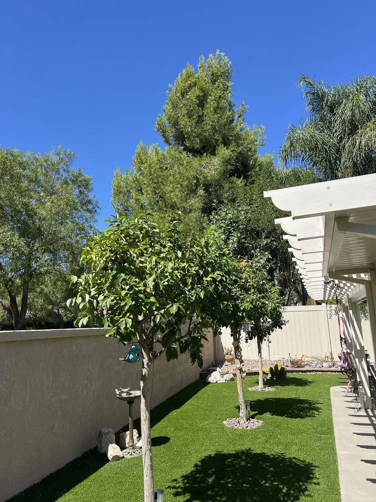 Trusted garden landscaping with custom design across Escondido, CA - Surf and Turf Landscaping