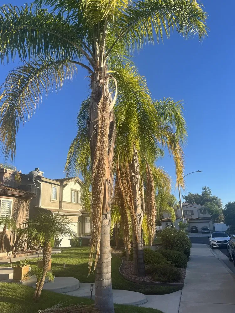 Reliable garden landscaping in Escondido, CA by Surf and Turf Landscaping