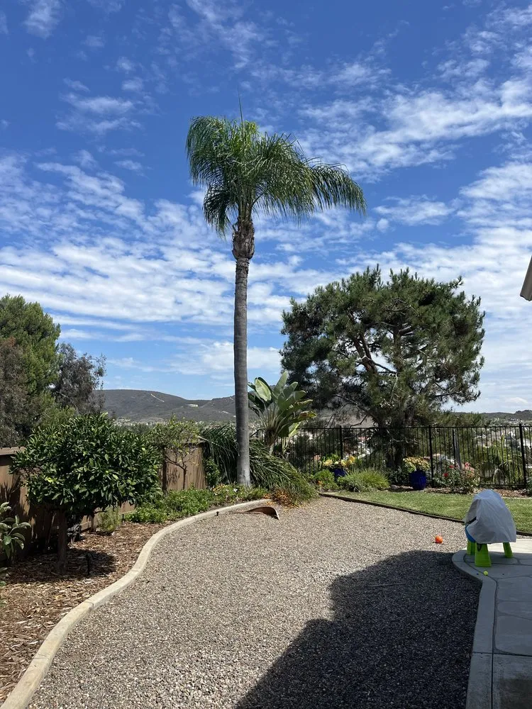 Custom landscaping services in Escondido, CA - Surf and Turf Landscaping