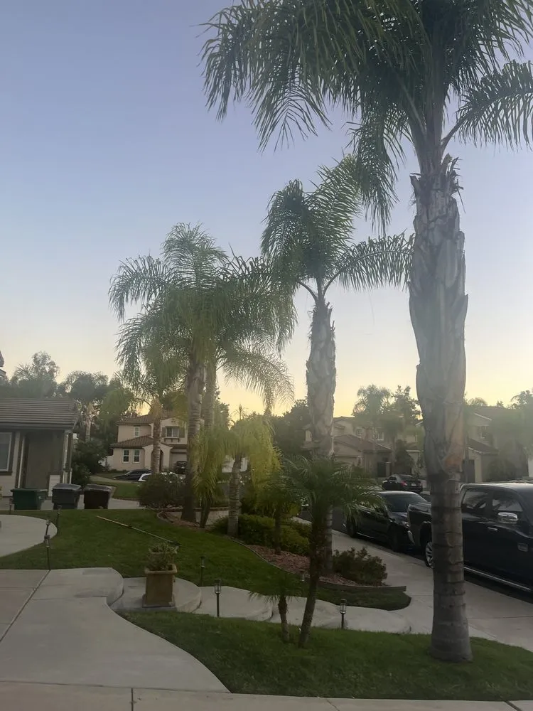 Professional landscape installation for residential properties across Escondido, CA - Surf and Turf Landscaping