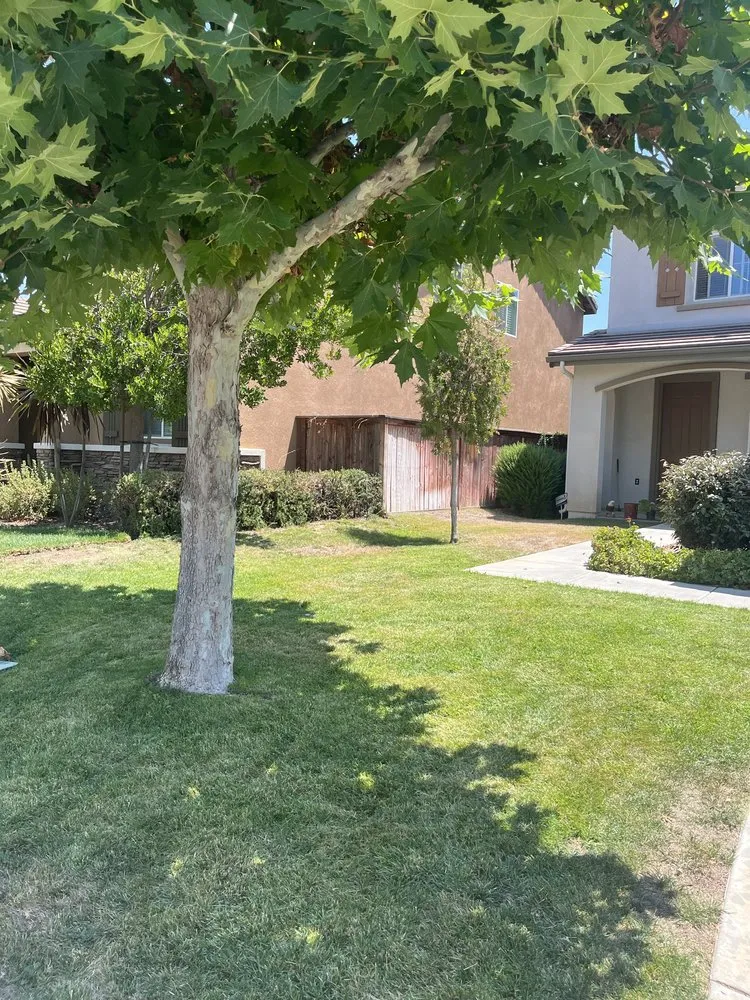 Affordable landscape design for homes in Escondido, CA by Surf and Turf Landscaping