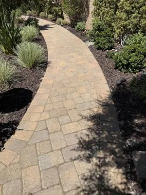 Surf and Turf Landscaping Logo