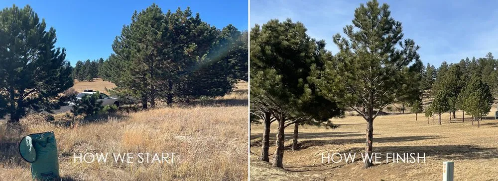 Affordable landscape installation for homes in Estes Park, CO by Surf and Turf Lawn Care