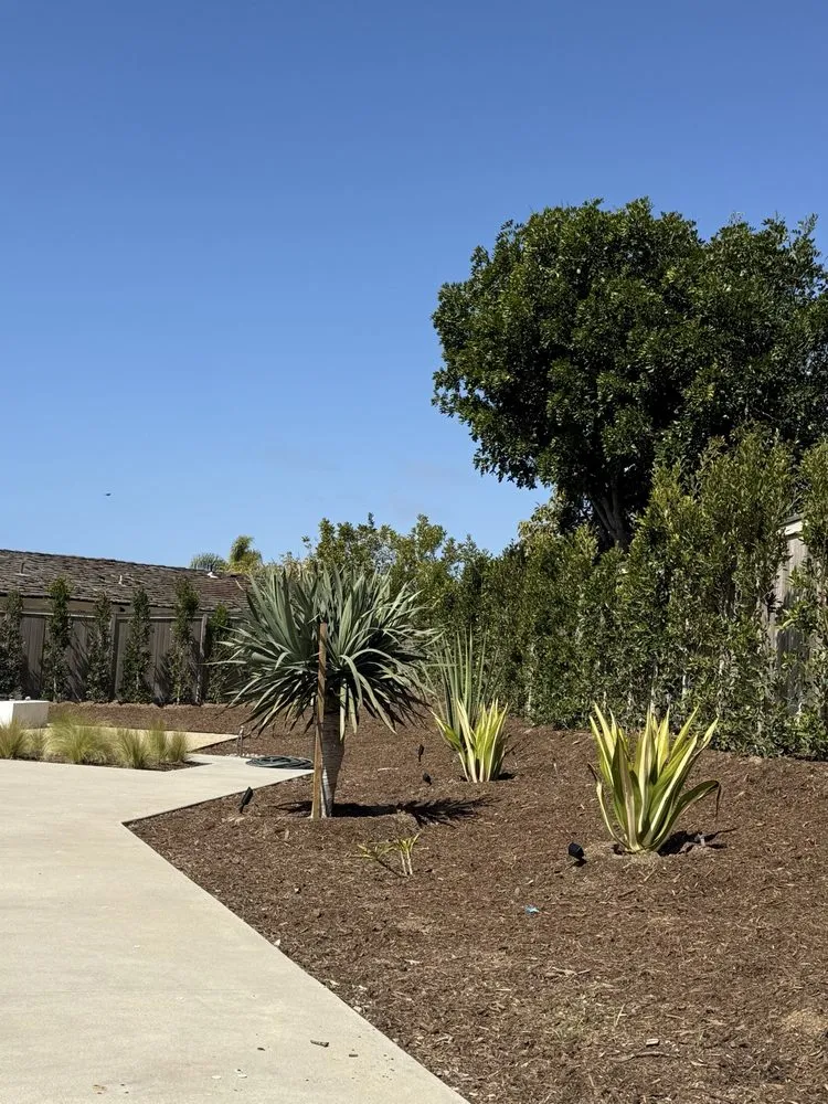 Trusted landscaping services in Costa Mesa, CA by Surf N Turf Landscape