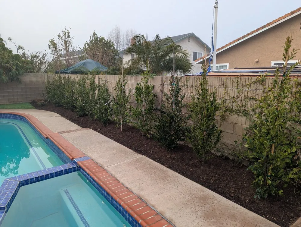 Local garden landscaping in Costa Mesa, CA by Surf N Turf Landscape