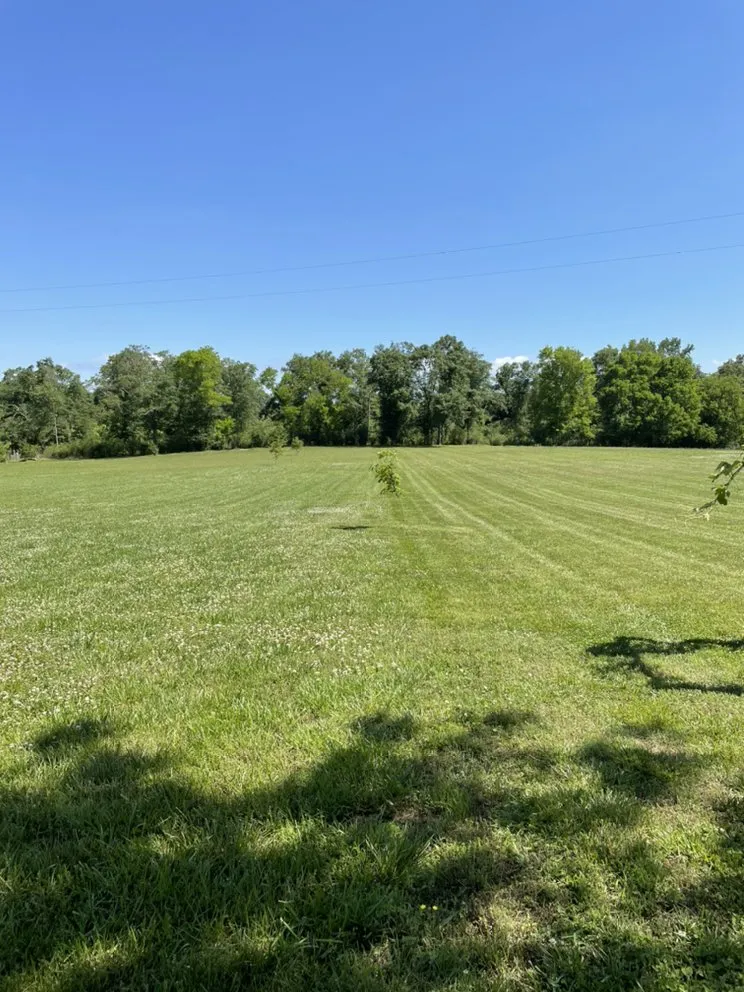 Affordable yard cleanup service in Albertville, AL - Surf-N-Turf Lawn Pros