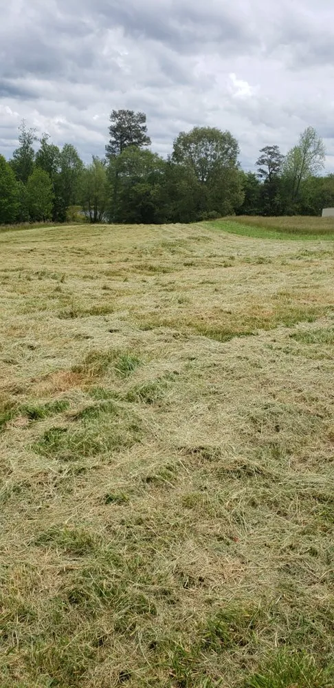 Trusted landscape design for beautiful yards across Albertville, AL - Surf-N-Turf Lawn Pros