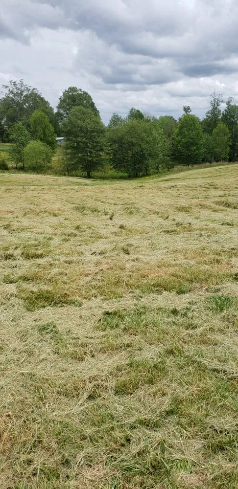 Custom yard maintenance for year-round maintenance across Albertville, AL - Surf-N-Turf Lawn Pros