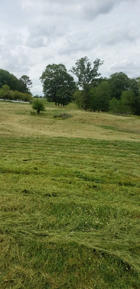 Trusted residential landscaping experts serving Albertville, AL - Surf-N-Turf Lawn Pros