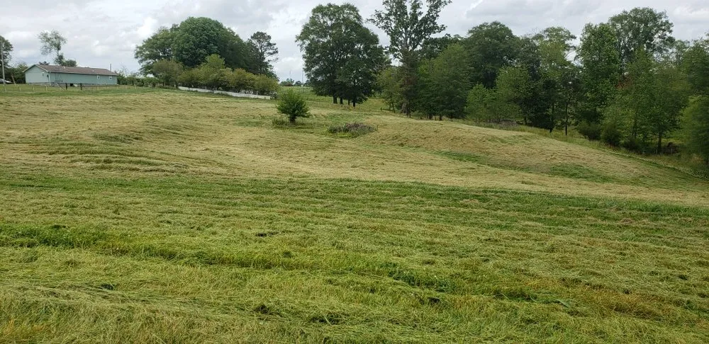 Expert garden landscaping for residential properties across Albertville, AL - Surf-N-Turf Lawn Pros