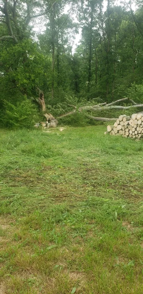 Expert yard maintenance with custom design across Albertville, AL - Surf-N-Turf Lawn Pros