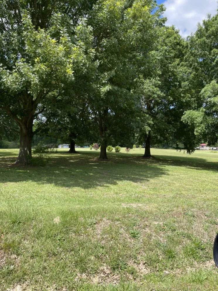 Affordable yard cleanup service for homes across Albertville, AL - Surf-N-Turf Lawn Pros