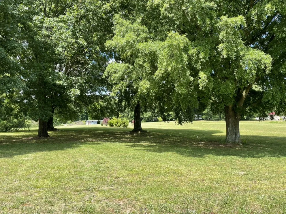 Custom landscape design in Albertville, AL - Surf-N-Turf Lawn Pros