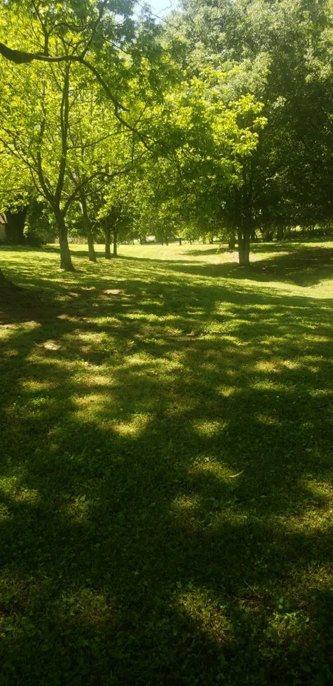 Professional residential landscaping in Albertville, AL - Surf-N-Turf Lawn Pros