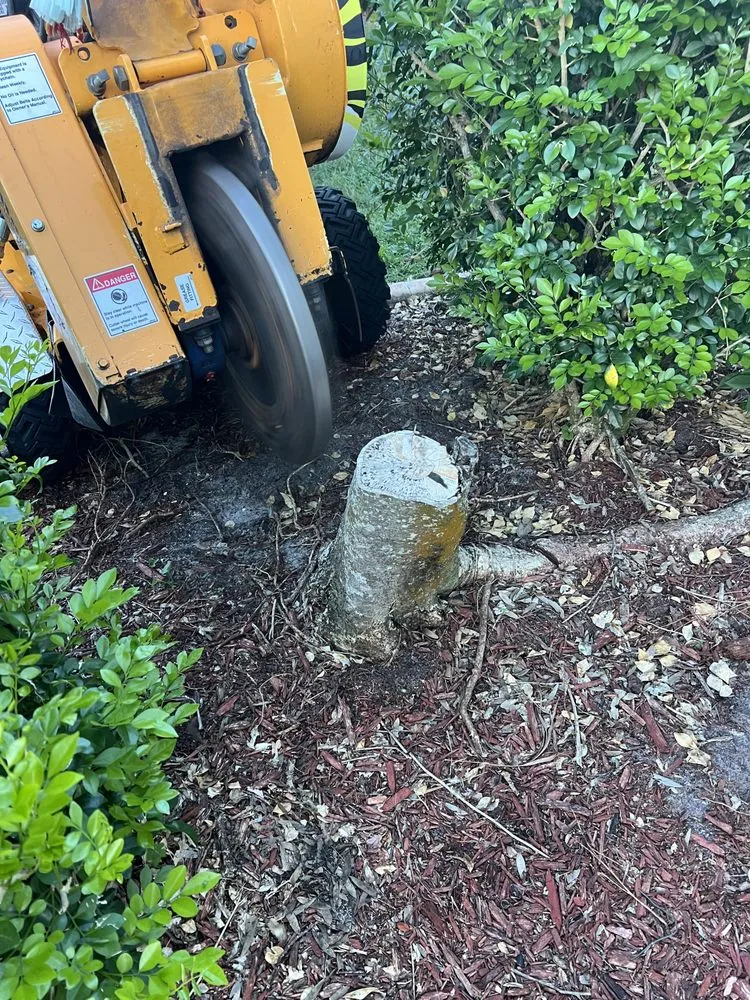 Expert lawn mowing service for beautiful yards in Cape Coral, FL by Surf N' Turf Property Services