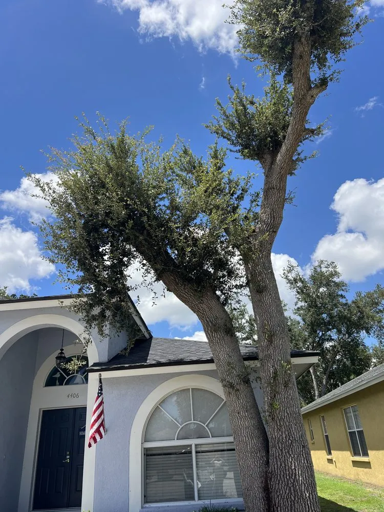 Reliable lawn mowing service in Cape Coral, FL - Surf N' Turf Property Services