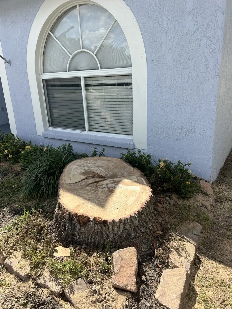 Expert garden landscaping with custom design across Cape Coral, FL - Surf N' Turf Property Services