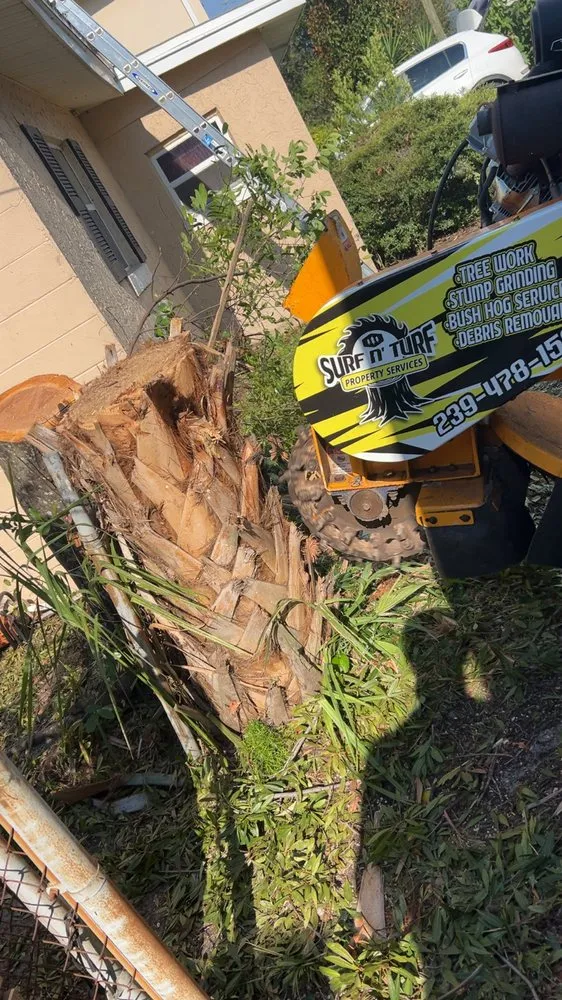 Expert lawn care service in Cape Coral, FL by Surf N' Turf Property Services