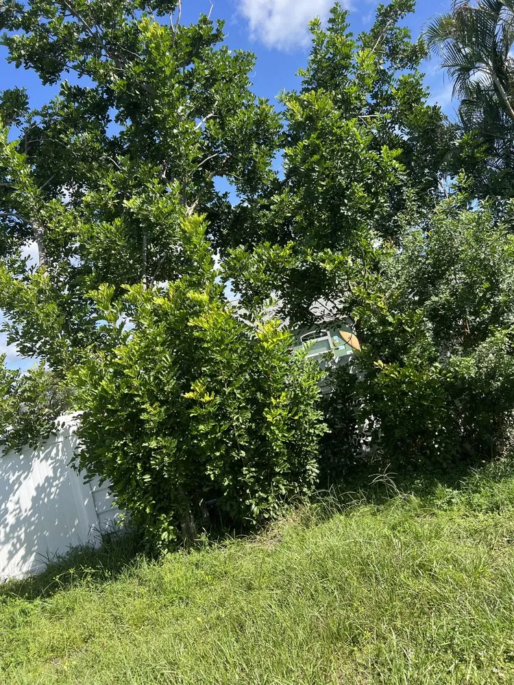 Local yard cleanup service for outdoor upgrades across Cape Coral, FL - Surf N' Turf Property Services